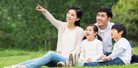 強大的批發代理支持政策